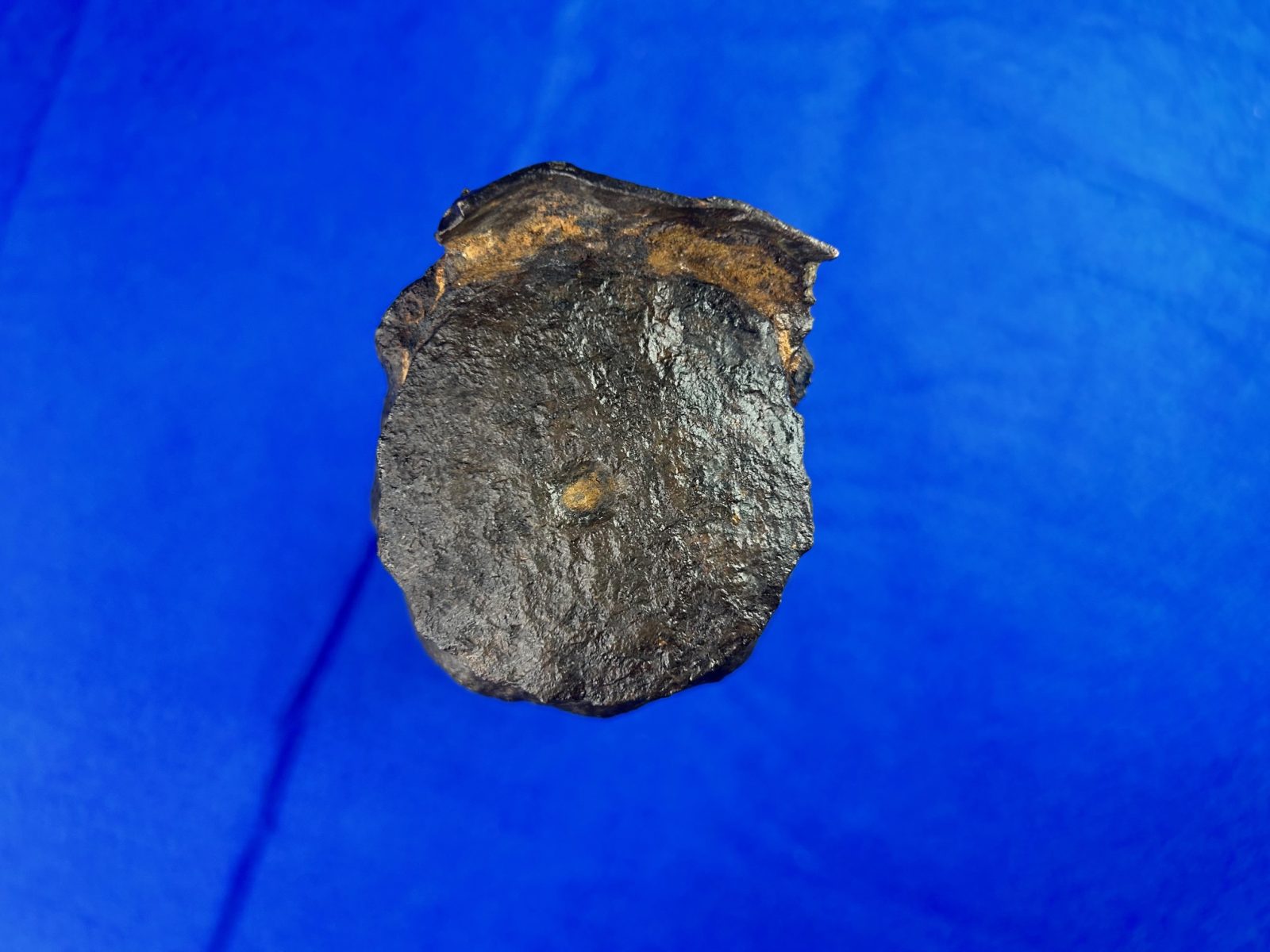 3-inch Confederate Read Shell from Brice's Crossroads