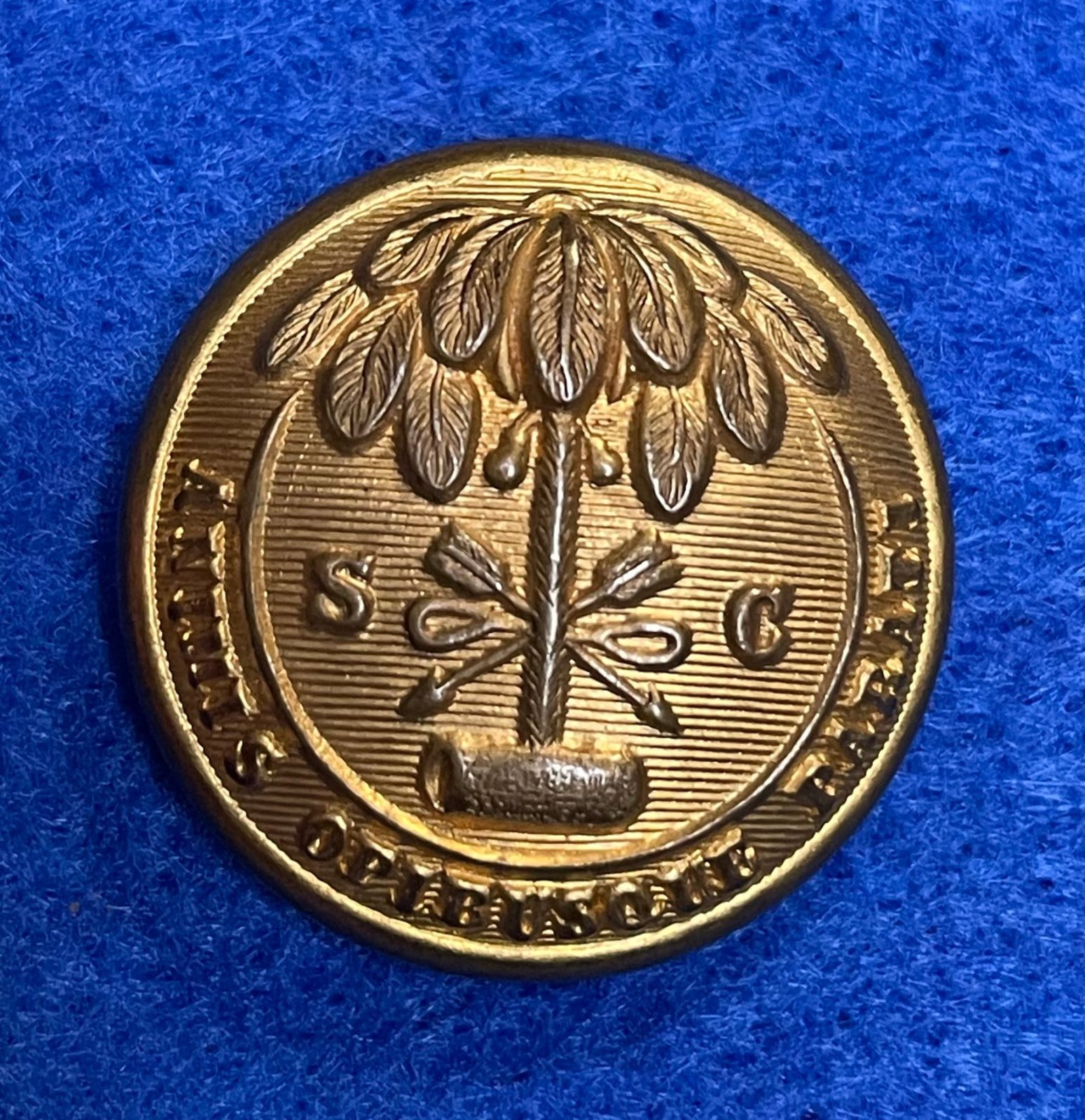 Non Excavated South Carolina Coat Button by H.T. & B.