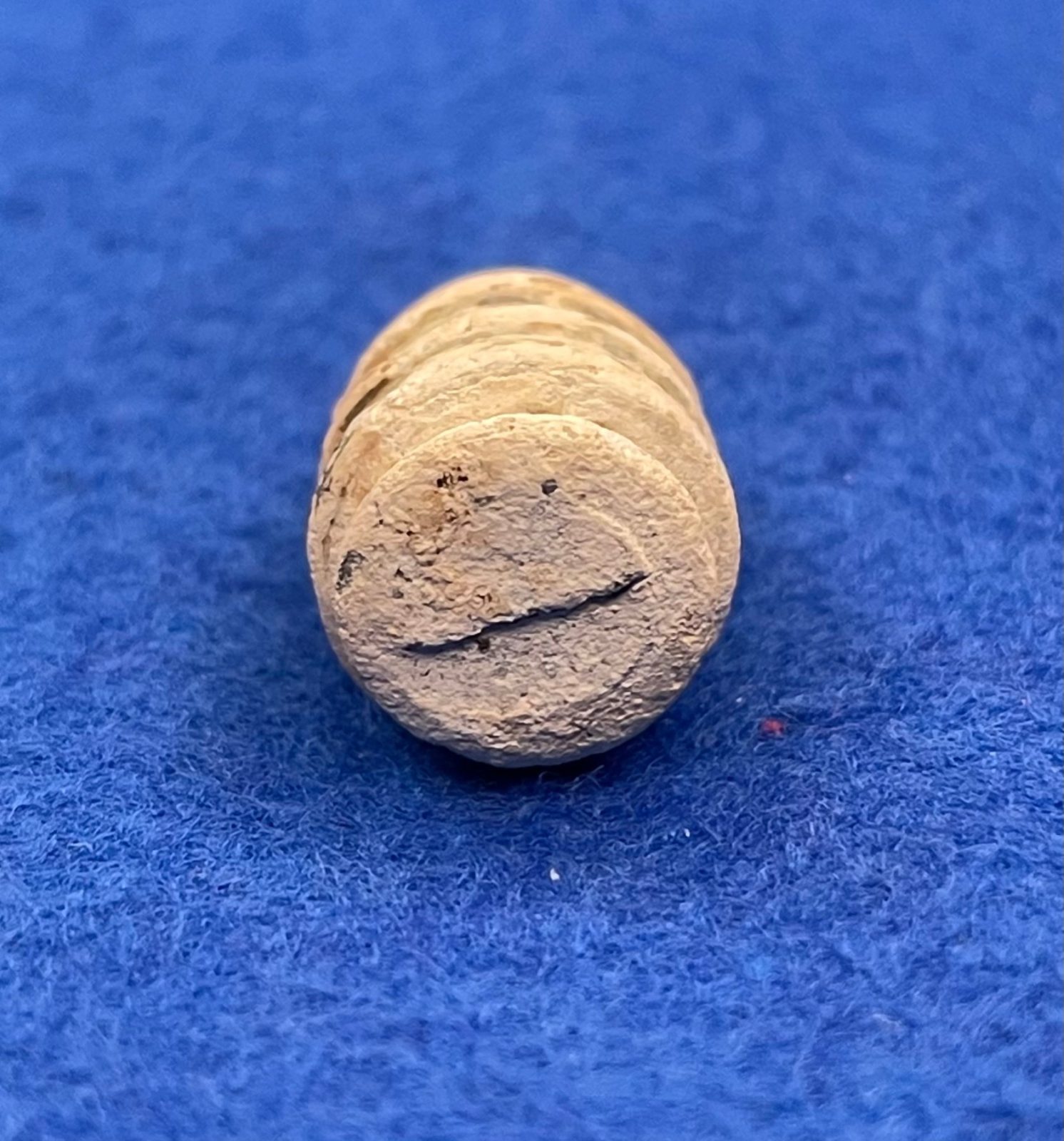 Excavated Civil War .46 caliber Slanting Breach Sharps Bullet